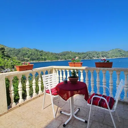 Filipovic Apartman Sobra